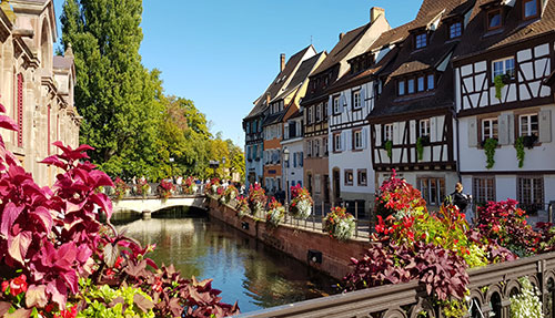 COLMAR 