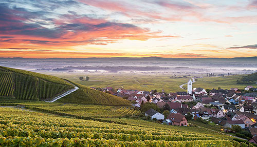 LA ROUTE DES VINS