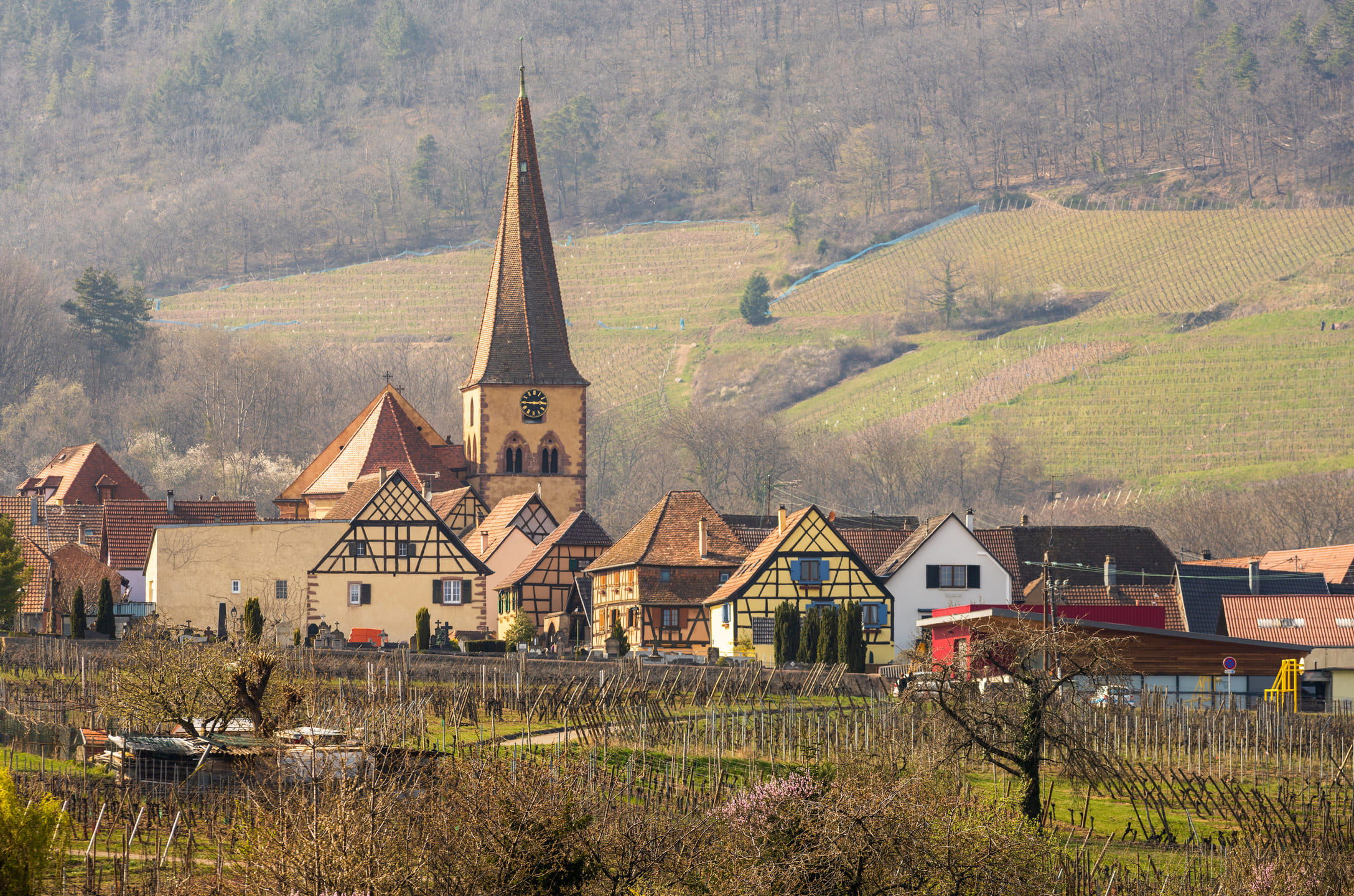 Niedermorschwihr